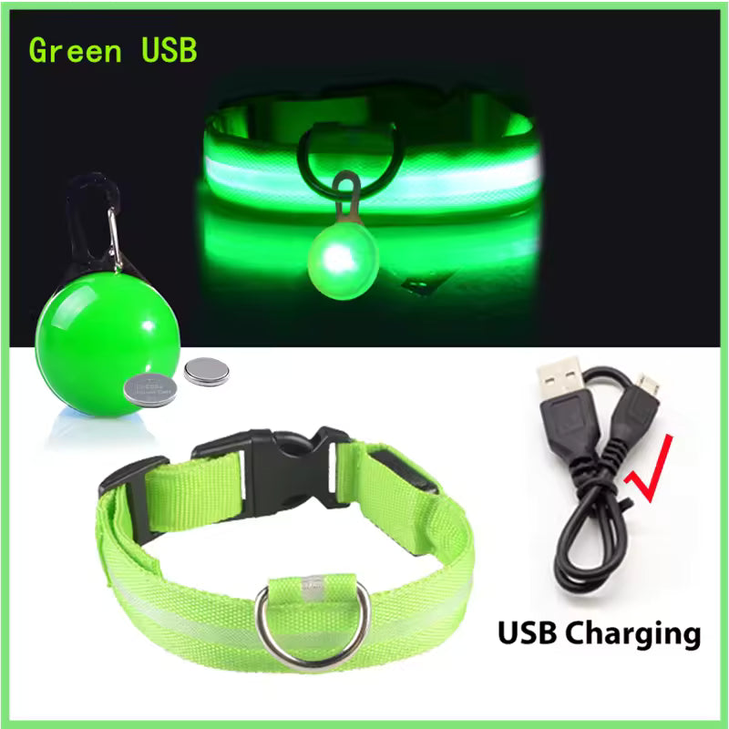 Collier de chien lumineux avec chargeur Usb