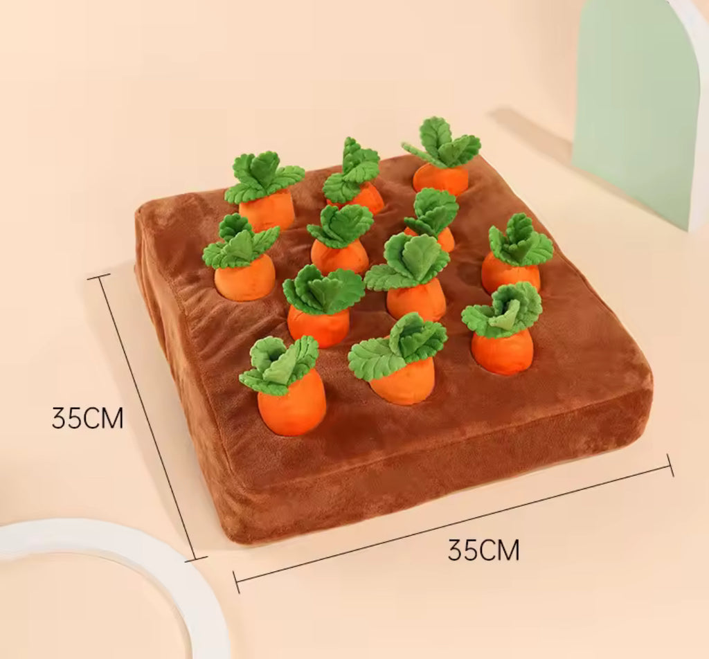 Jouet interactif jardin de carottes – Stimulation & amusement garanti !