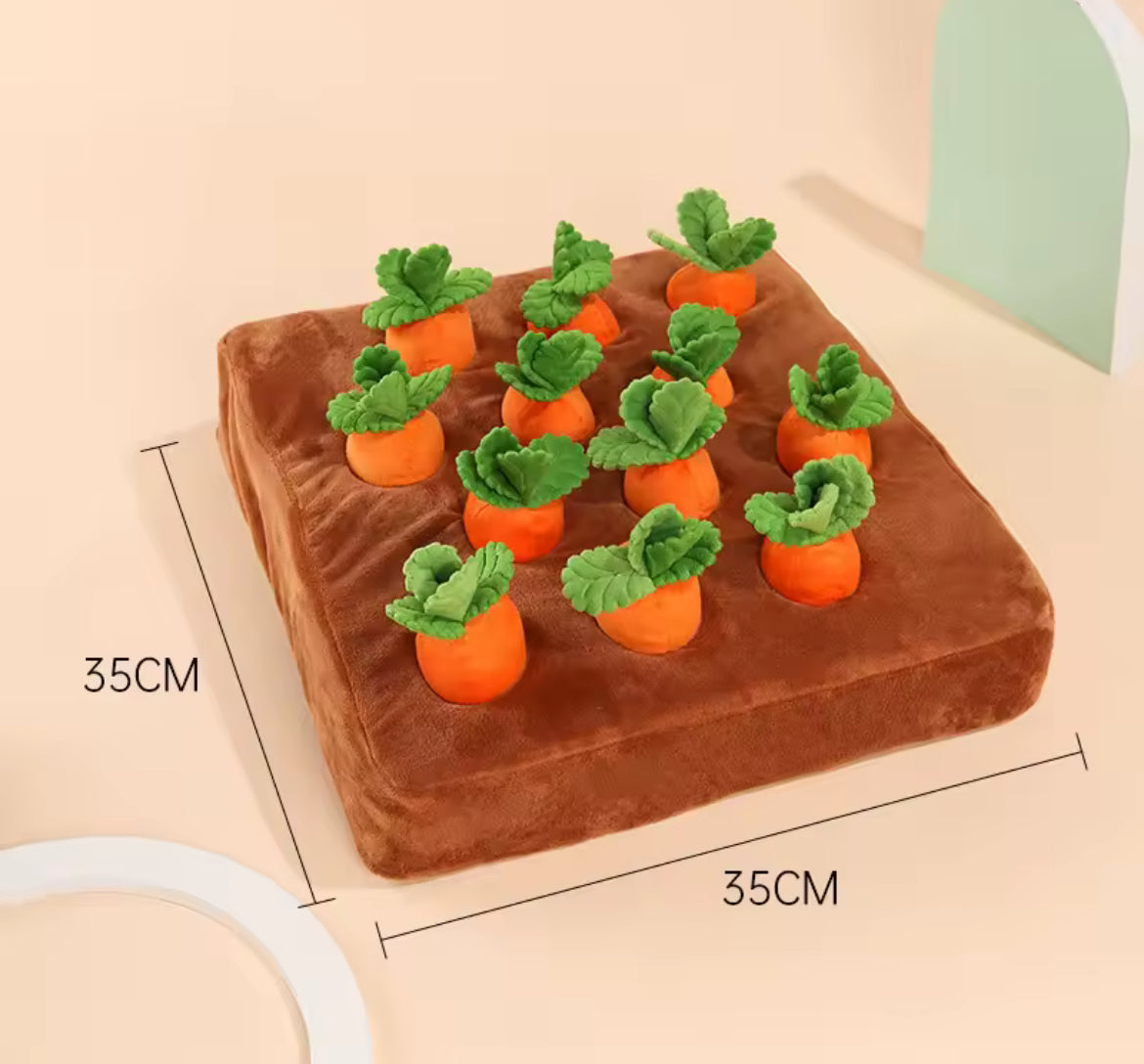 Jouet interactif jardin de carottes – Stimulation & amusement garanti !