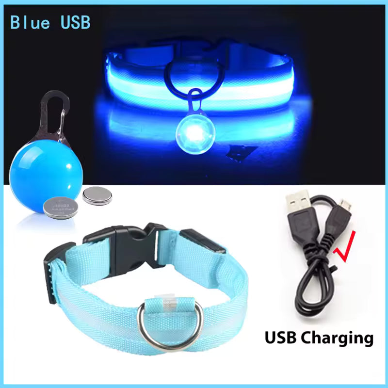 Collier de chien lumineux avec chargeur Usb