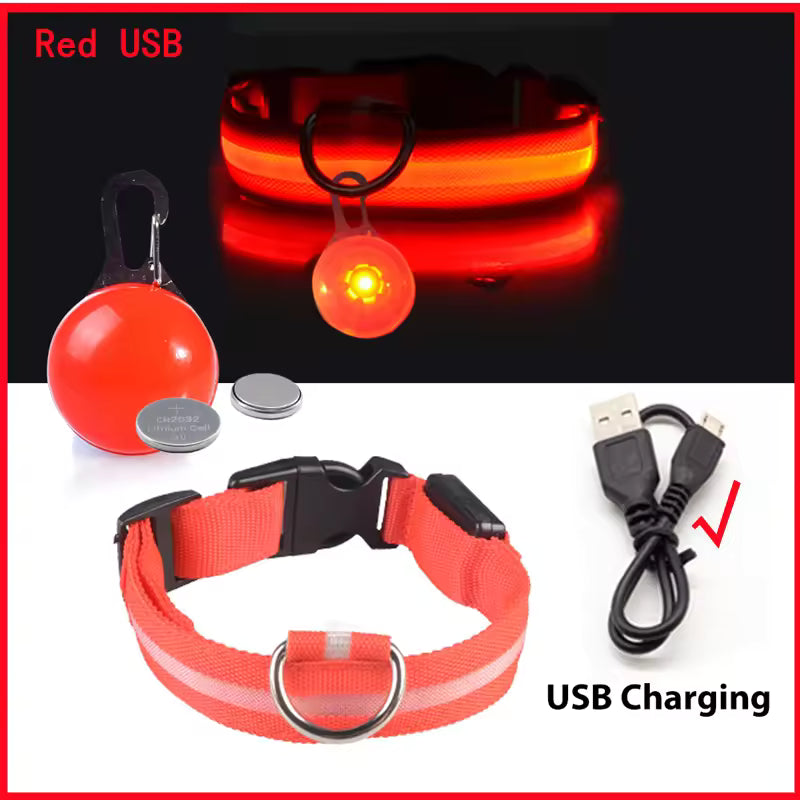 Collier de chien lumineux avec chargeur Usb