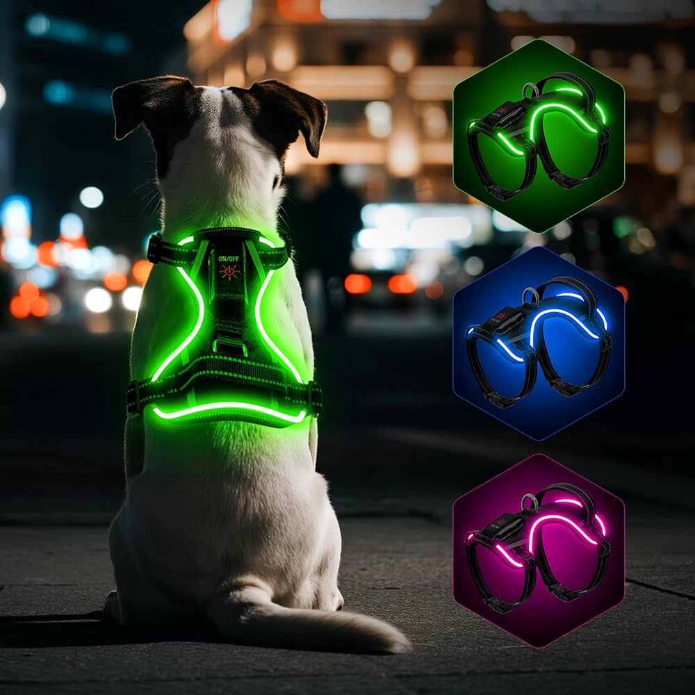 Harnais lumineux pour chien