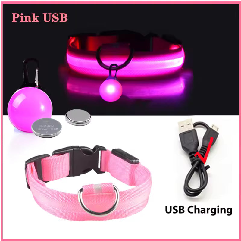 Collier de chien lumineux avec chargeur Usb