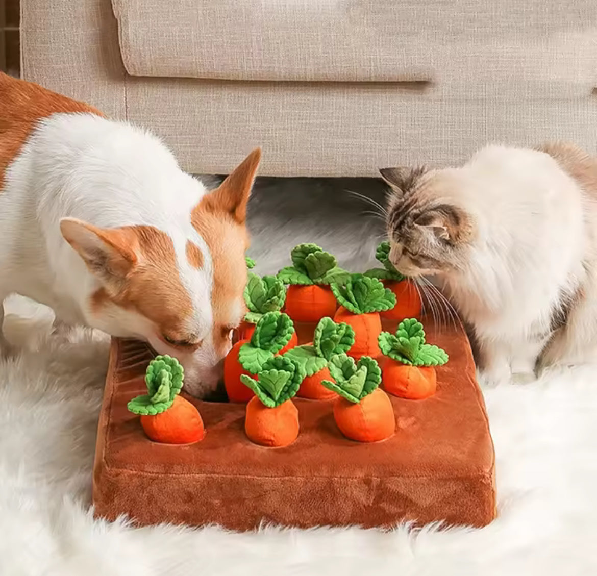 Jouet interactif jardin de carottes – Stimulation & amusement garanti !