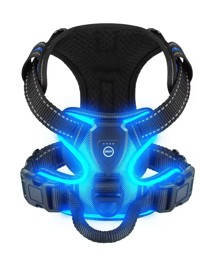 Harnais lumineux pour chien