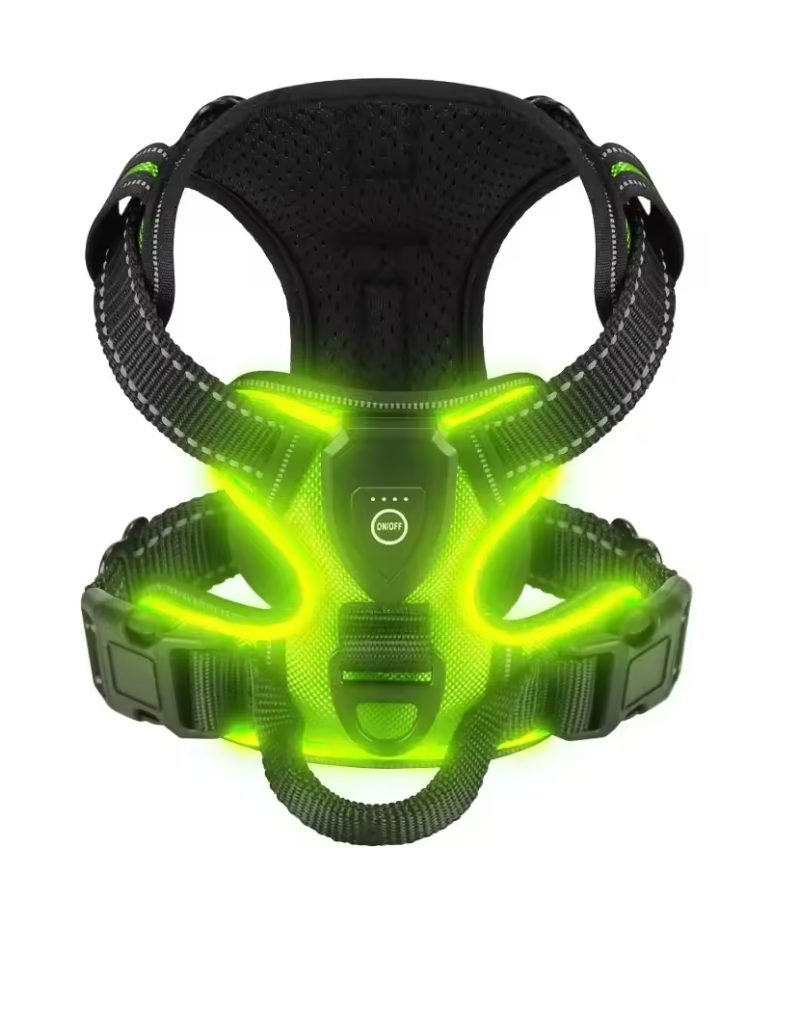 Harnais lumineux pour chien