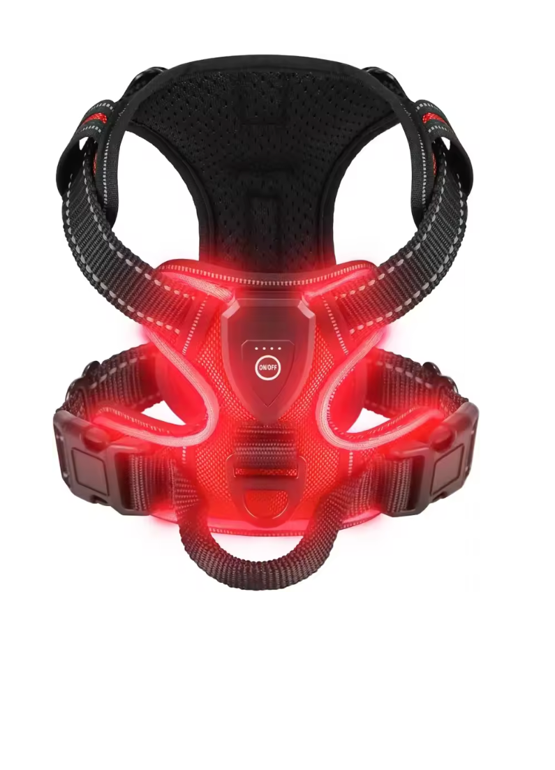 Harnais lumineux pour chien
