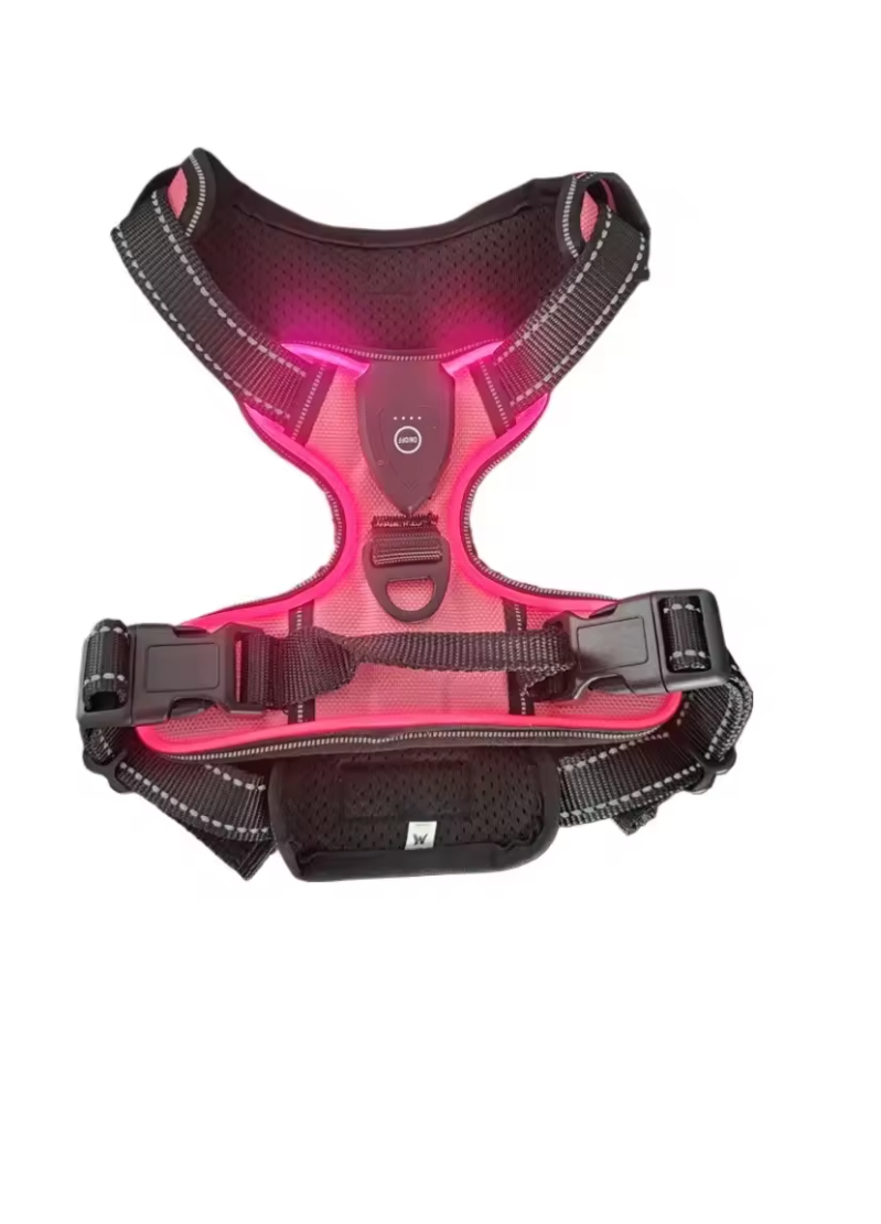 Harnais lumineux pour chien