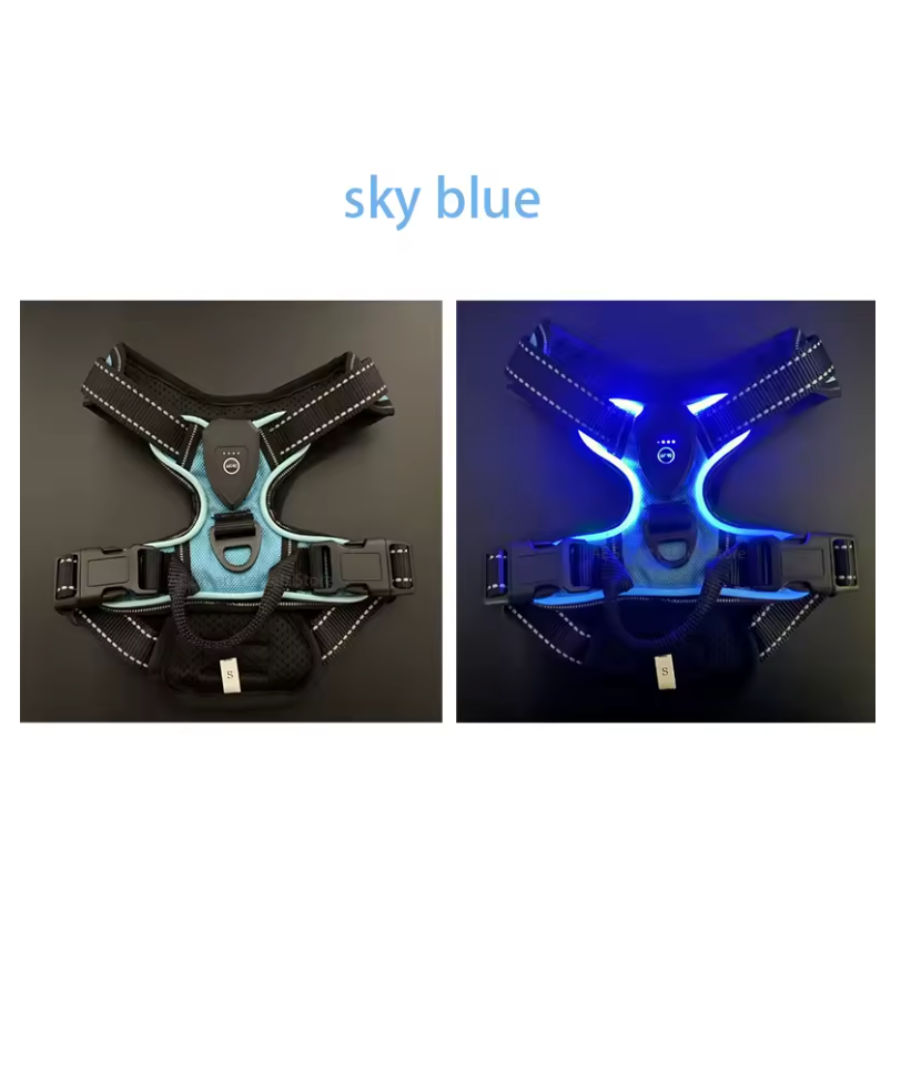 Harnais lumineux pour chien