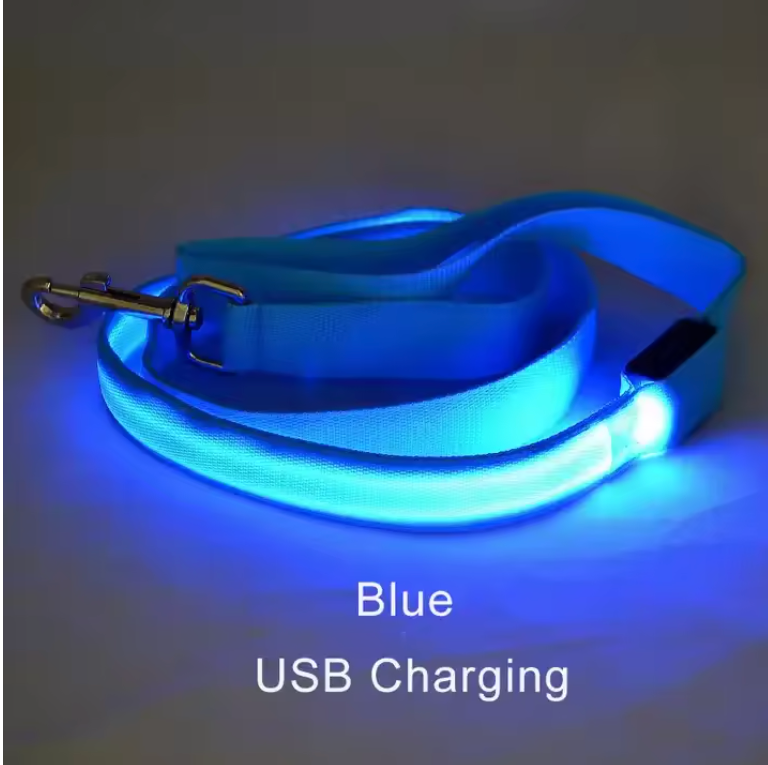 Laisse lumineuse LED pour chien