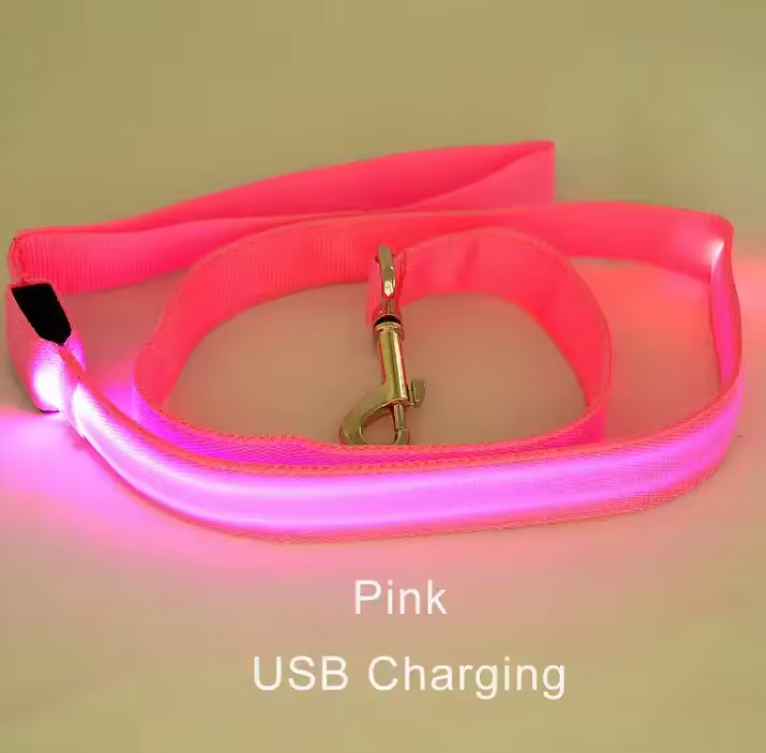 Laisse lumineuse LED pour chien