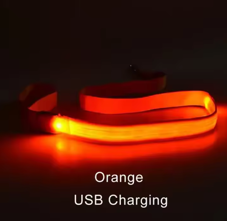 Laisse lumineuse LED pour chien