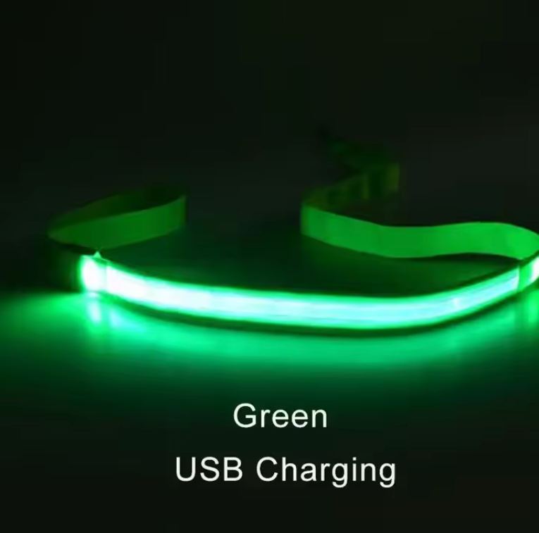 Laisse lumineuse LED pour chien