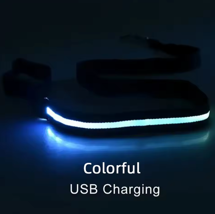 Laisse lumineuse LED pour chien