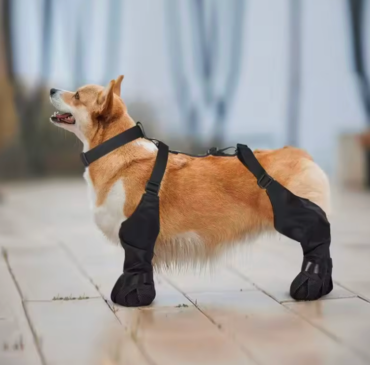 Bottes de pluie pour chiens