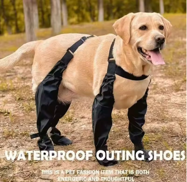 Bottes de pluie pour chiens