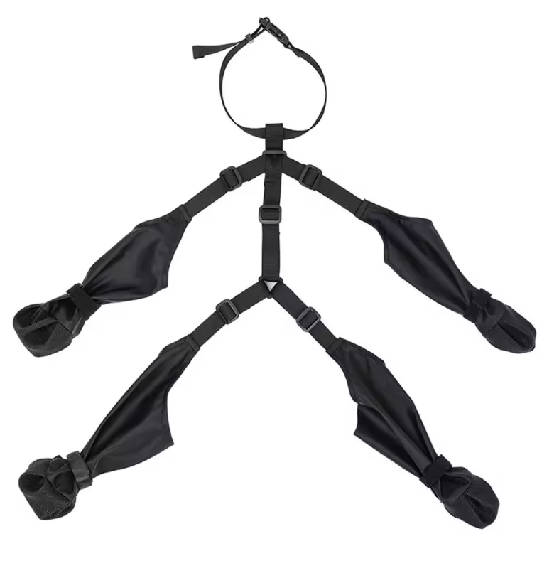 Bottes de pluie pour chiens