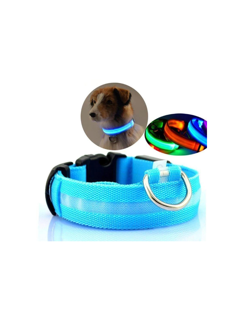 Collier de chien lumineux