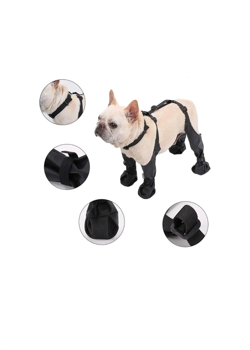 Bottes de pluie pour chiens