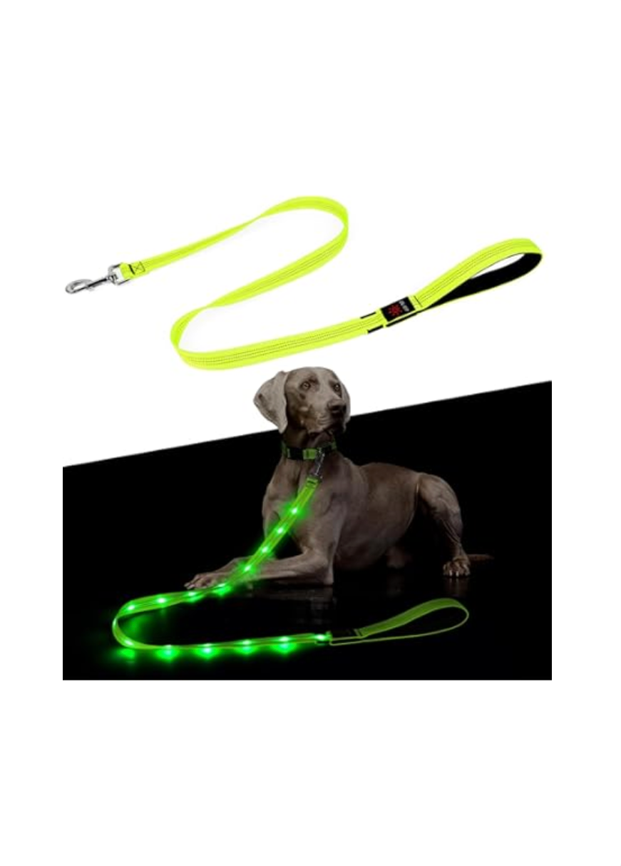 Laisse lumineuse LED pour chien