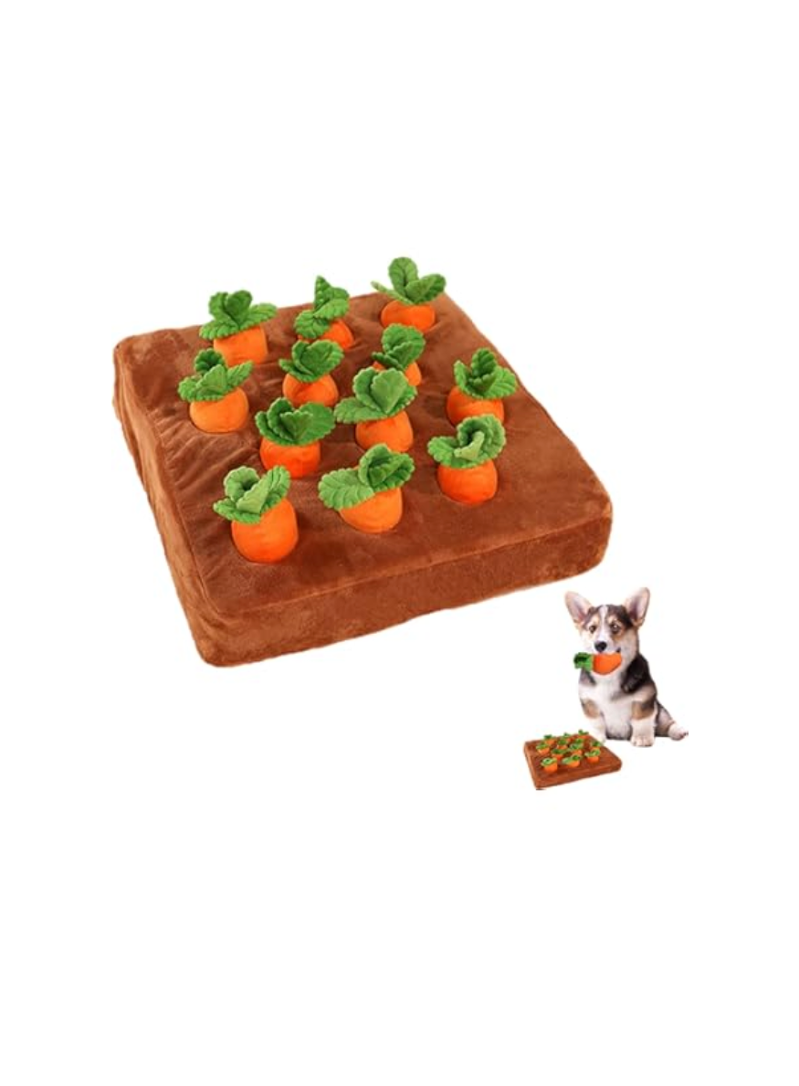Jouet interactif jardin de carottes – Stimulation & amusement garanti !