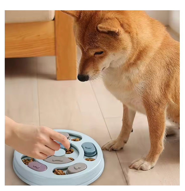 Bol interactif de cachette de nourriture pour chien