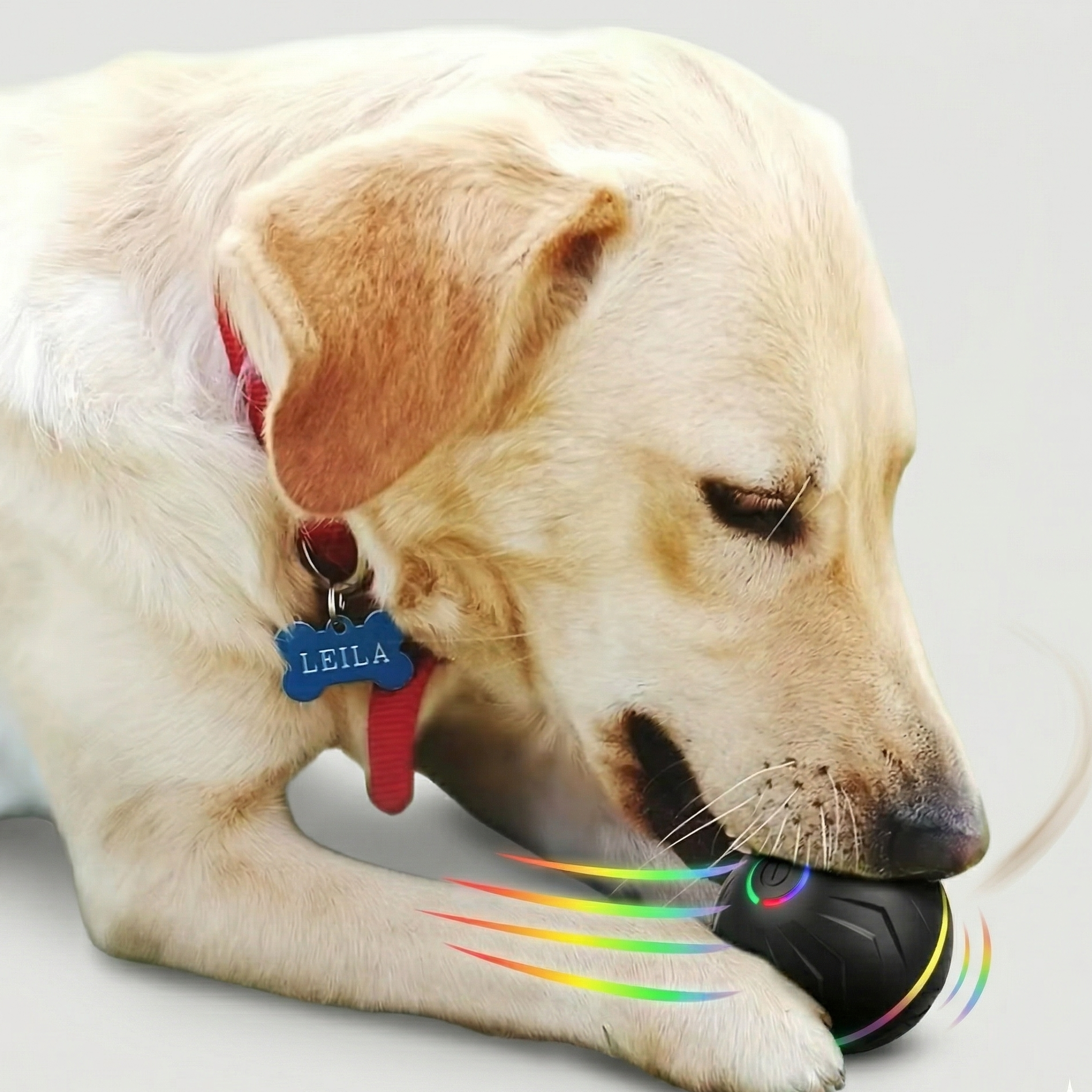 Balle Interactive Intelligente pour Chien