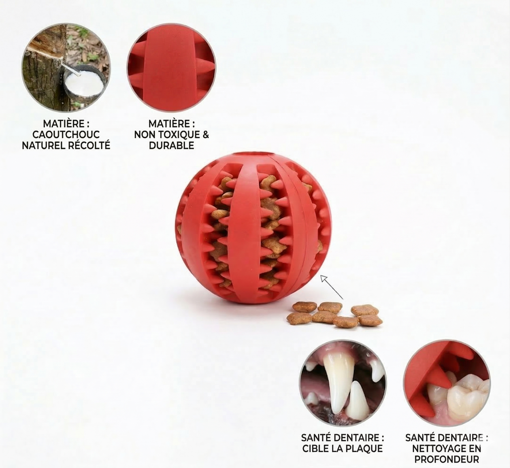 Balle jouet interactive pour chien