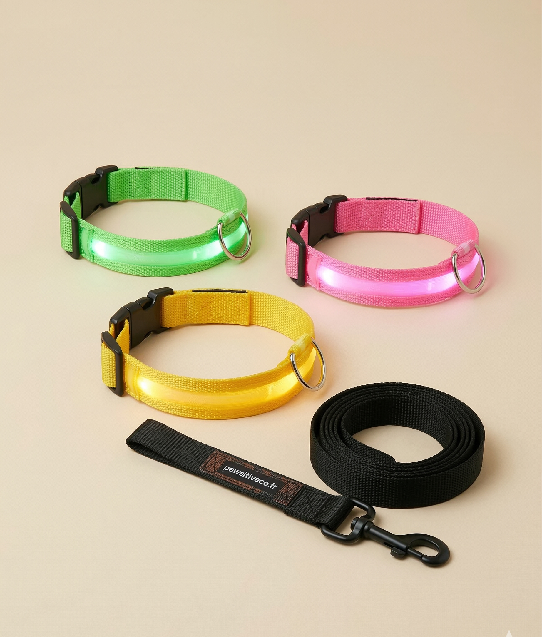 Collier de chien lumineux