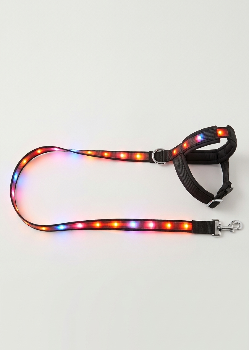Laisse lumineuse LED pour chien