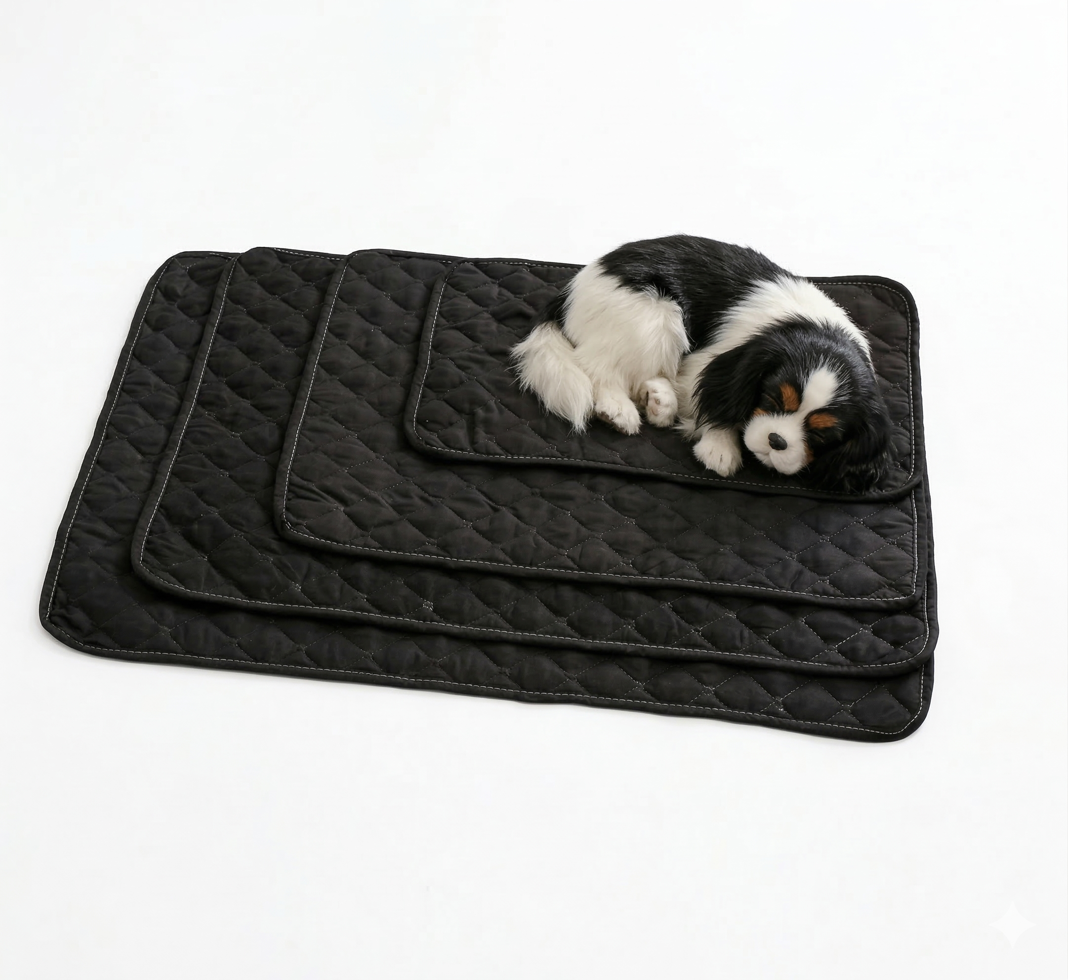 Tapis Ultra-Absorbant