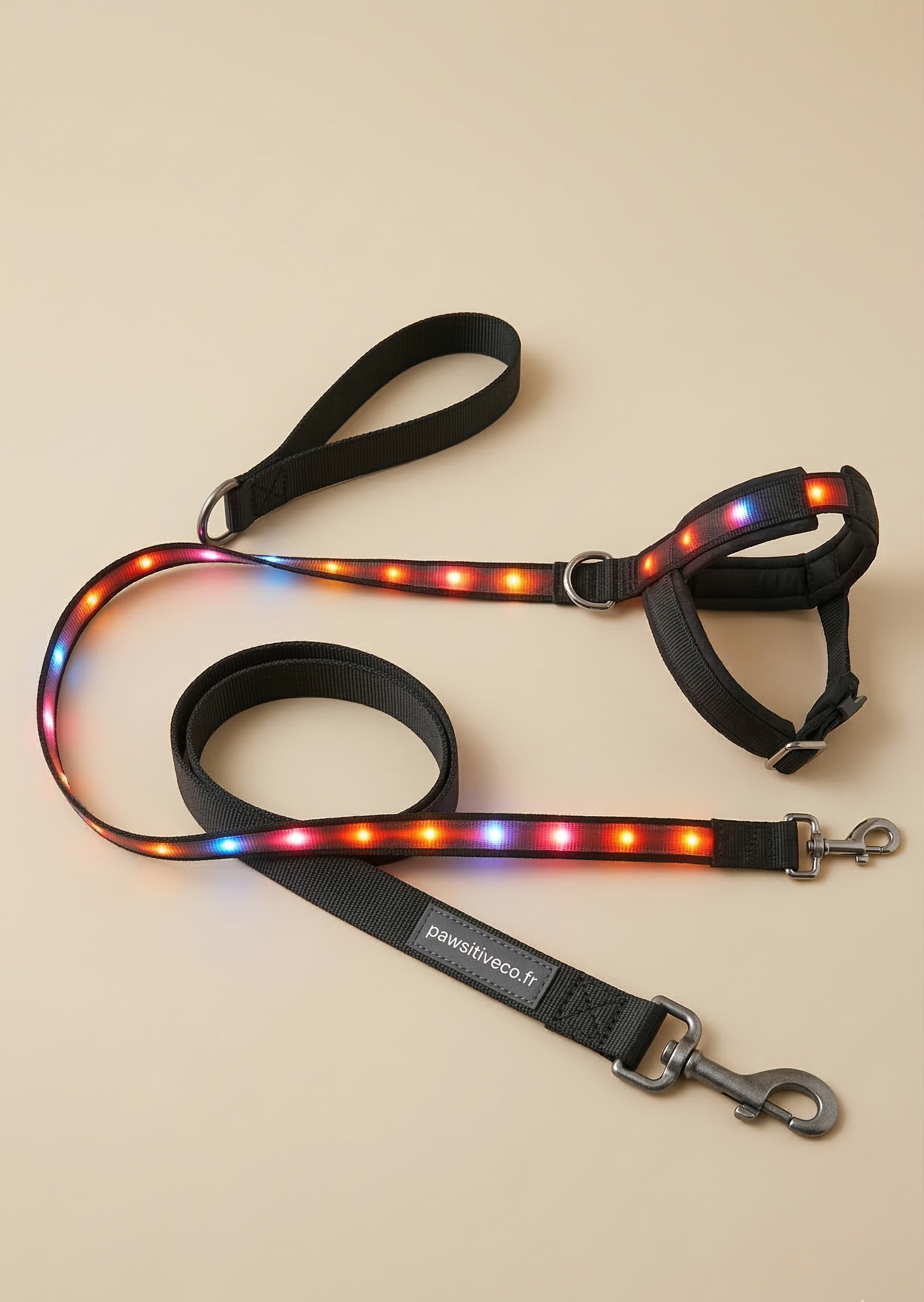 Laisse lumineuse LED pour chien