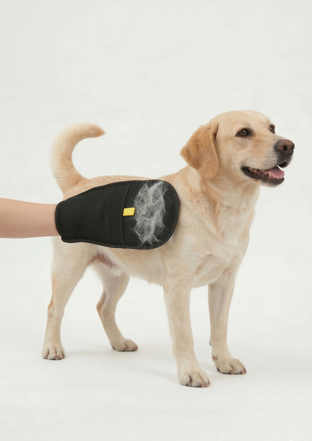 Gants d'épilation électrostatiques 2-en-1 pour chien