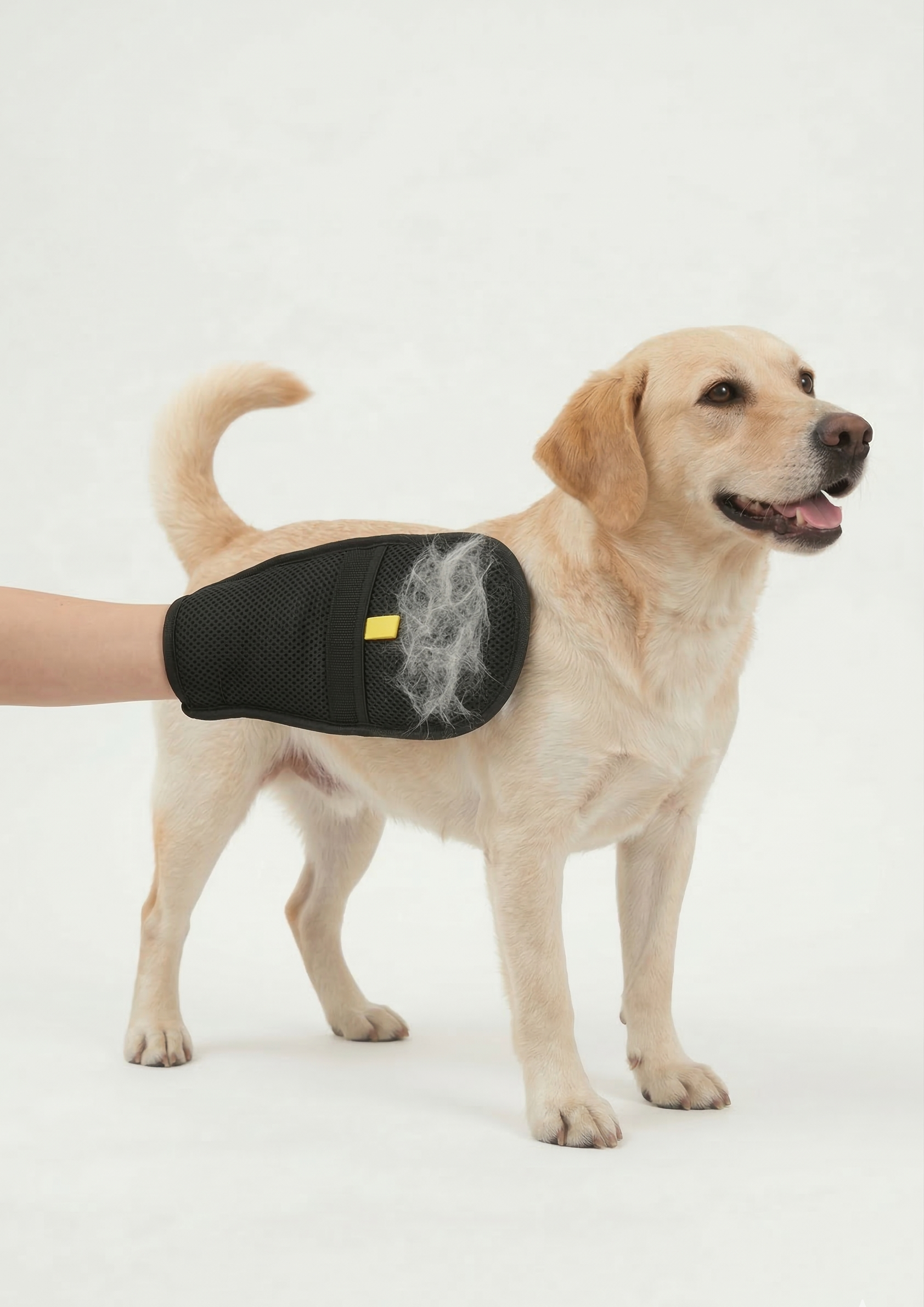 Gants d'épilation électrostatiques 2-en-1 pour chien