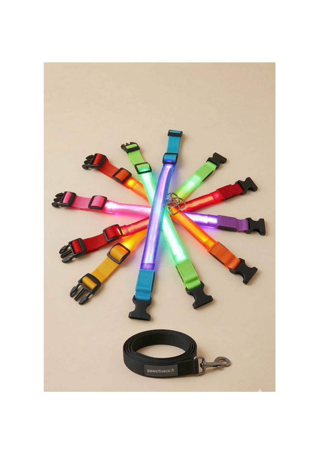 Collier de chien lumineux