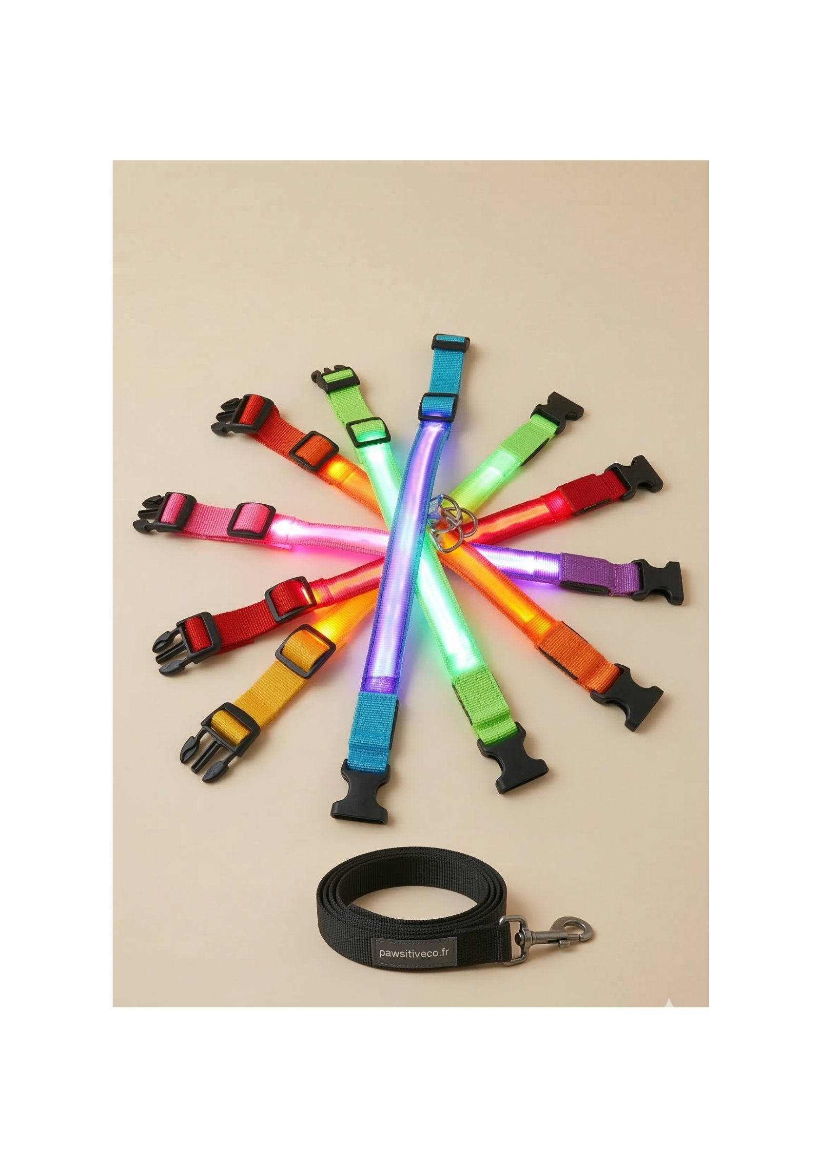 Collier de chien lumineux