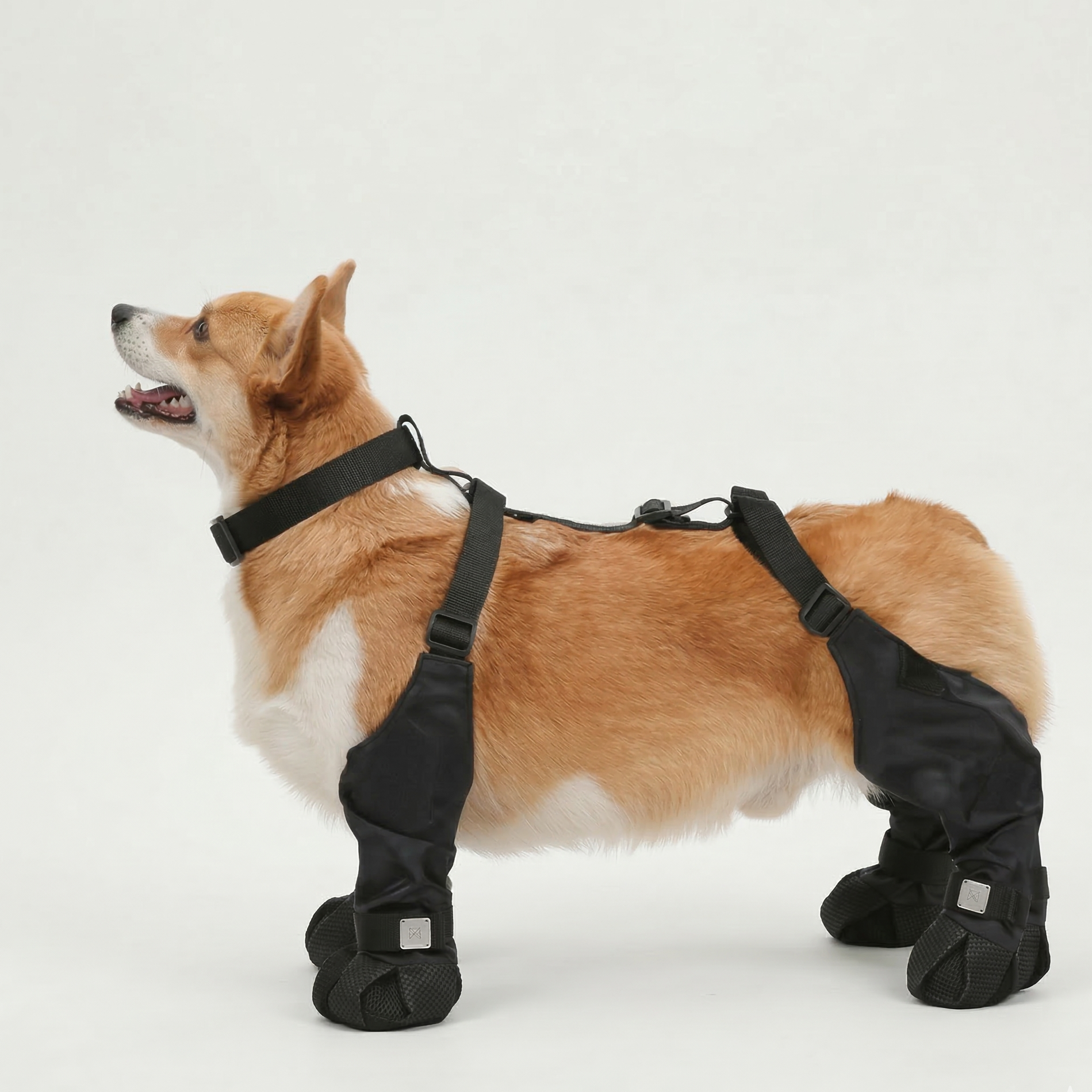 Bottes de pluie pour chiens