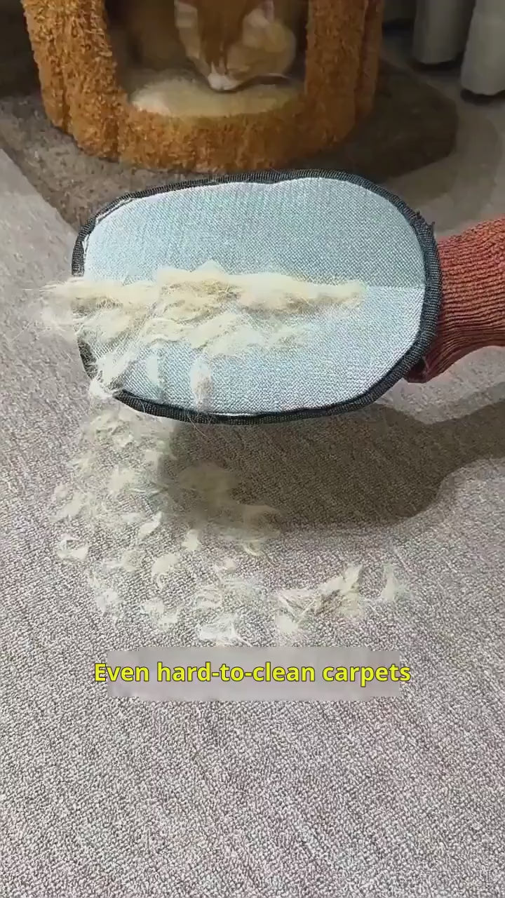 Gants d'épilation électrostatiques 2-en-1 pour chien