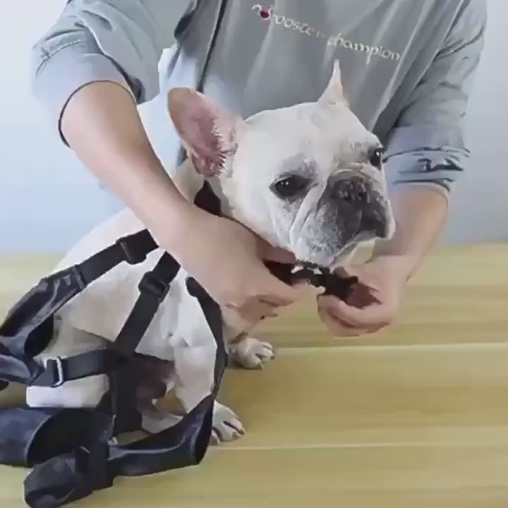 Bottes de pluie pour chiens