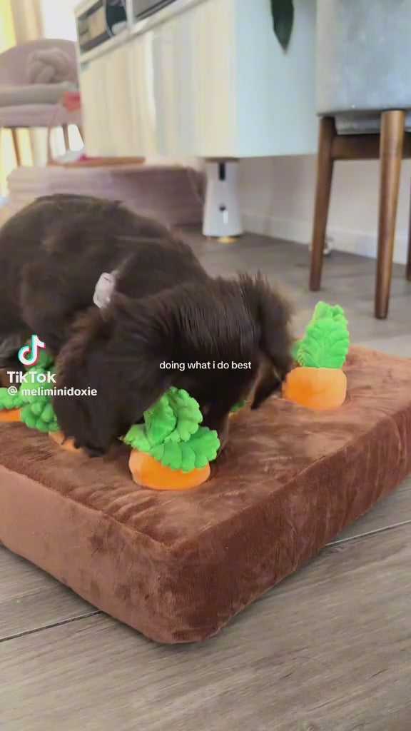 Jouet interactif jardin de carottes – Stimulation & amusement garanti !